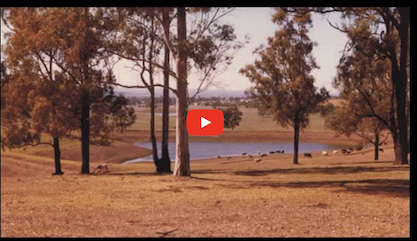 ABC Interviews P.A Yeomans 1979 yeomans