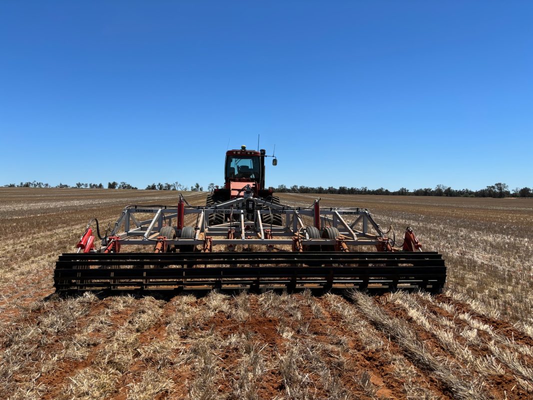 Yeomans plow behind high HP tracked tractor - hydraulic stump jump shanks , hydraulic crumble roller