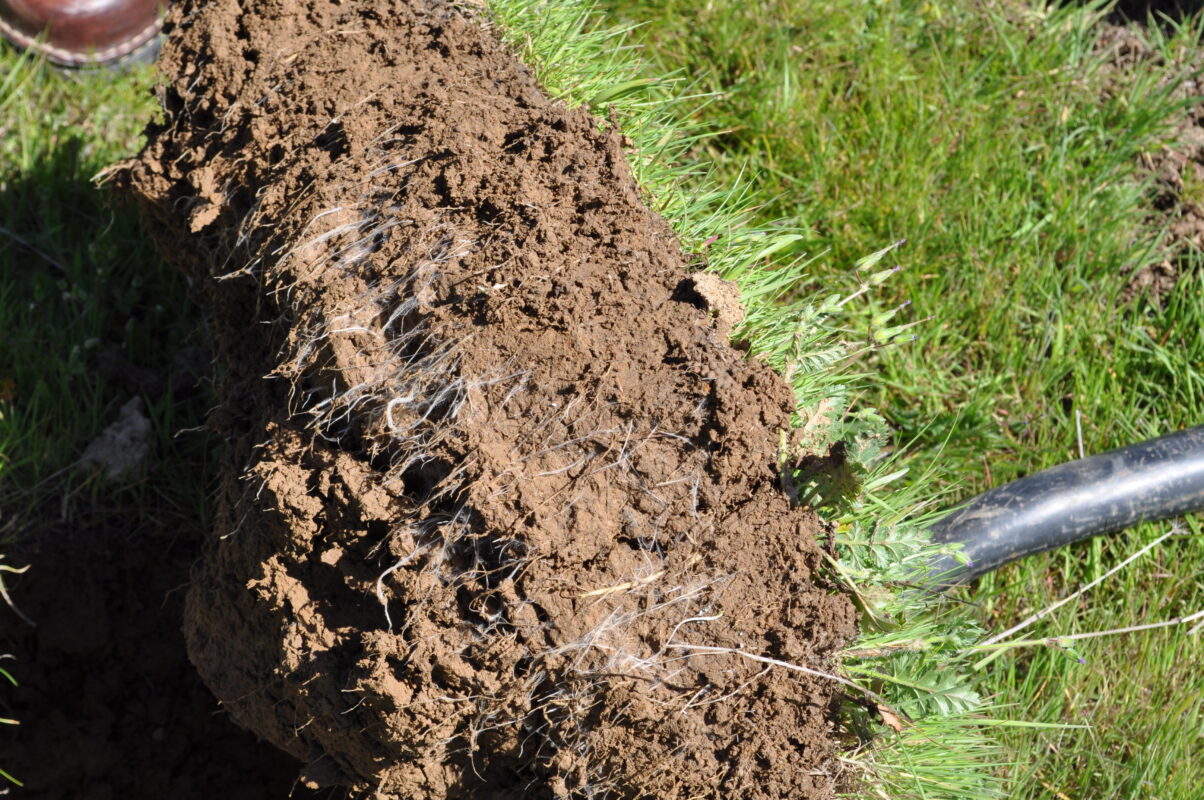 Yeomans cultivation contrast sub soil aeration ground rejuvenation