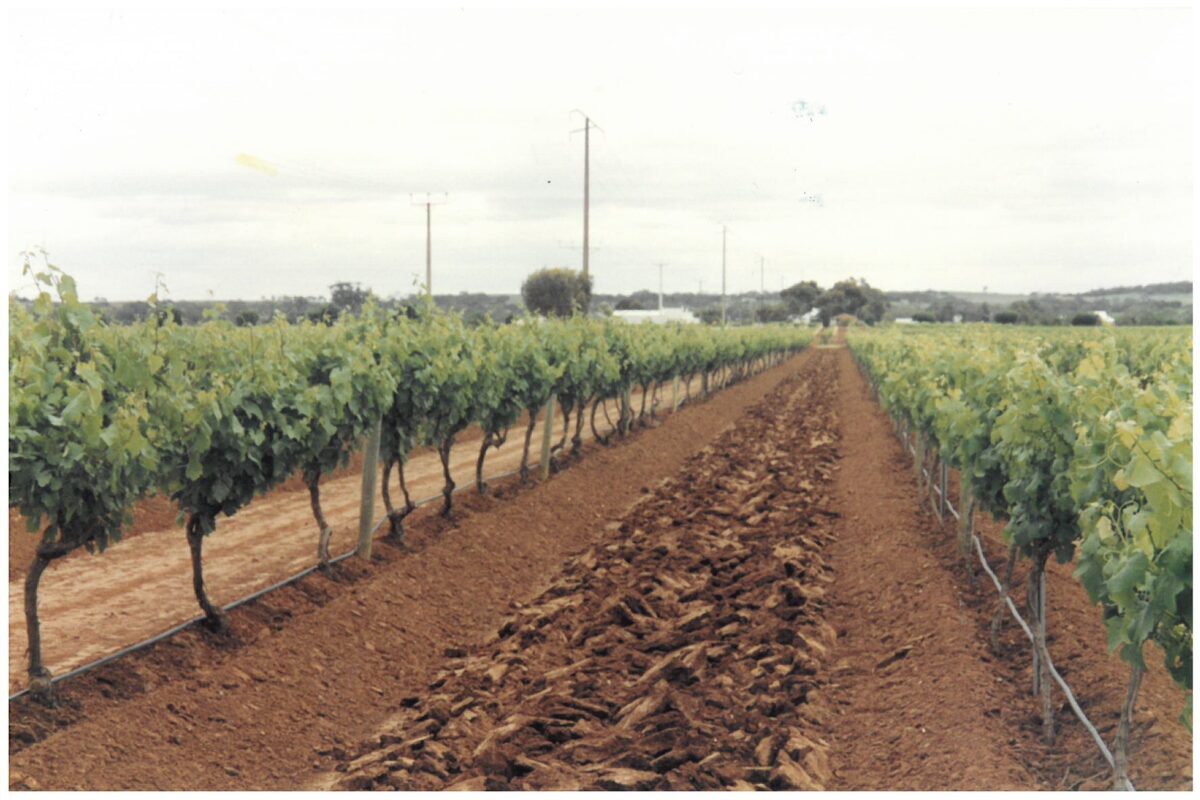 Yeomans cultivation contrast sub soil aeration ground rejuvenation , improvement of soil and hummus