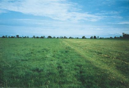 Yeomans cultivation contrast sub soil aeration ground rejuvenation