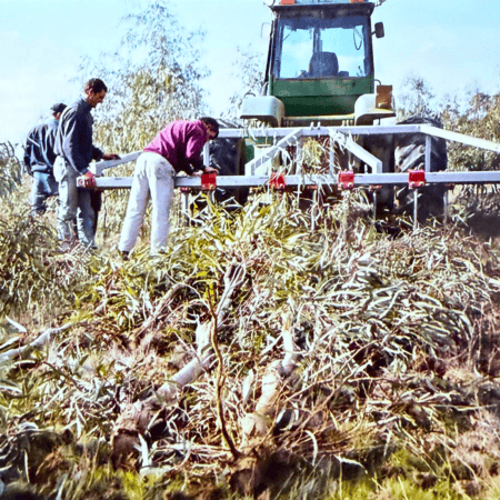 Yeomans Plow Weed Knives in action