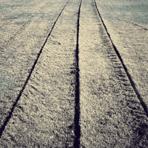 Yeomans plowed field with minimum soil disturbance using keyline methods, deep ripping